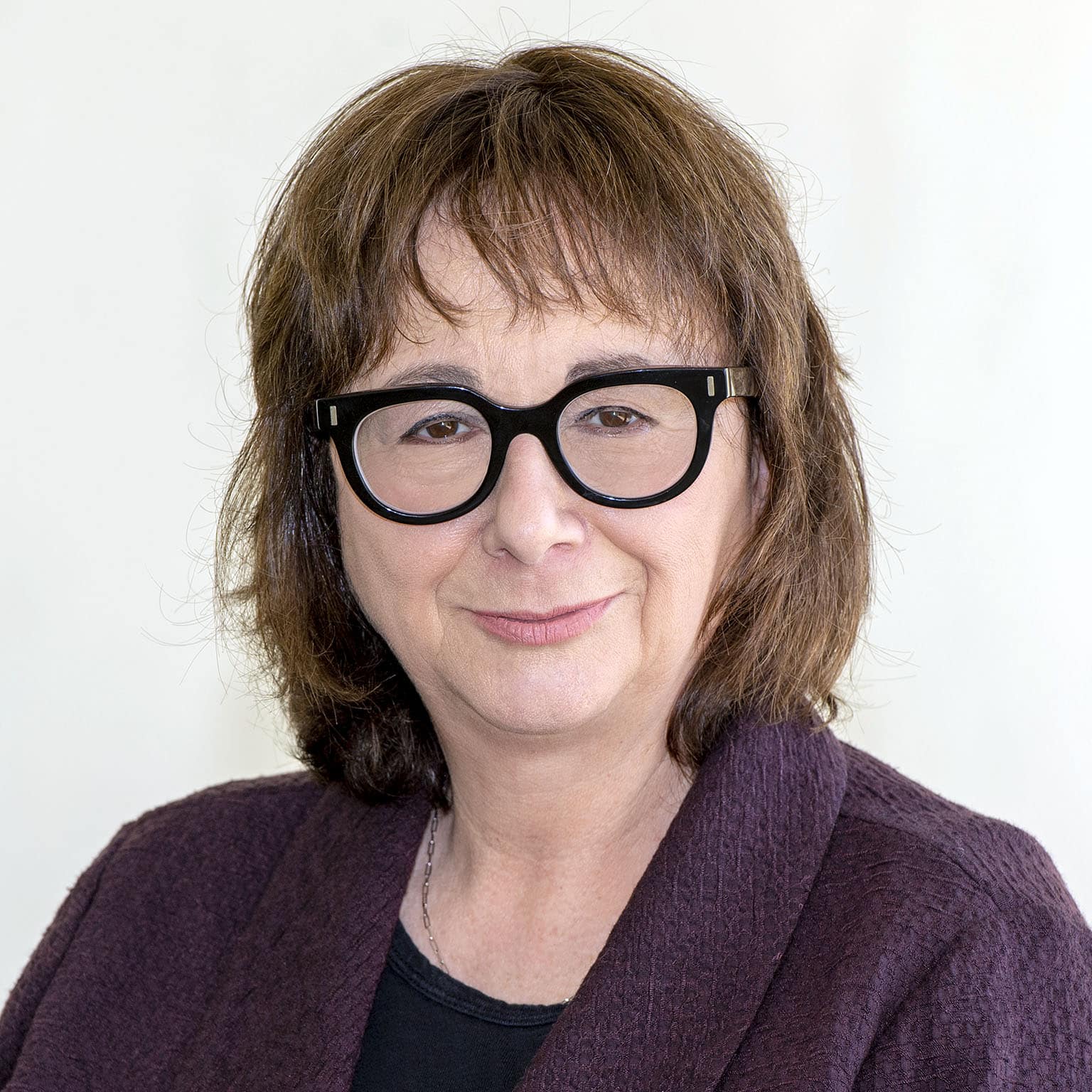 lisa-pelosi-criminal-defense-attorney-hudson-valley-poughkeepsie-ny-IMG_1899